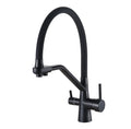 Matte Black 3-in-1 Pull-Out Kitchen Tap