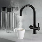 4-in-1 Tap with Instant Boiling Water